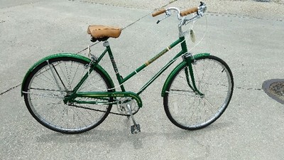 roadmaster jr bike